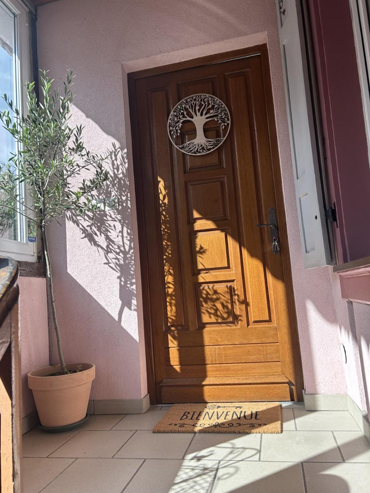 Le Petit Coin Des Oliviers Apartman Colmar Kültér fotó